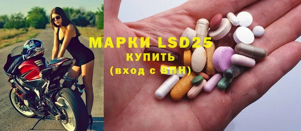 сатива Строитель