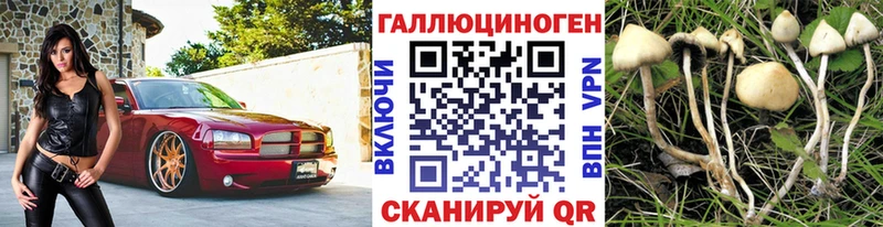 наркотики  Луховицы  MEGA   Галлюциногенные грибы Magic Shrooms 